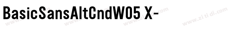 BasicSansAltCndW05 X字体转换